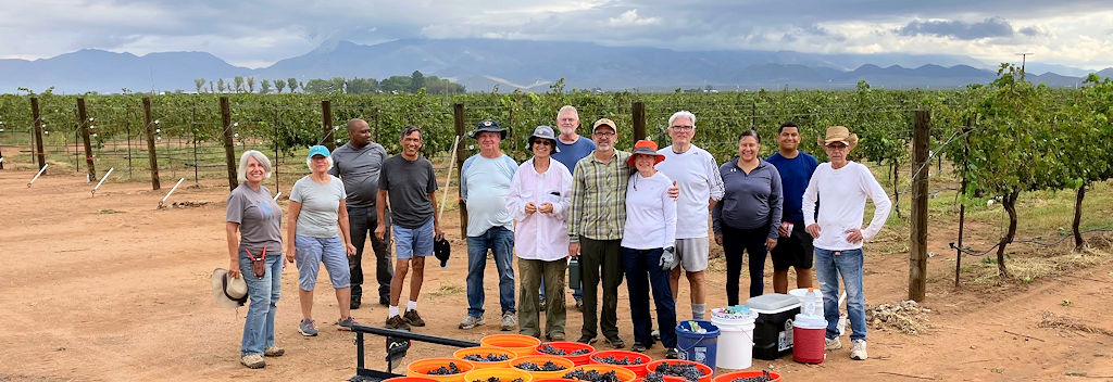 Amarone picking crew - thank you
